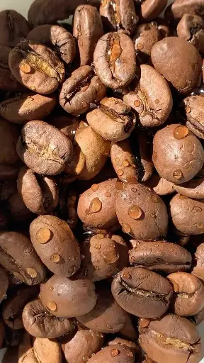 بن محمص من جازان